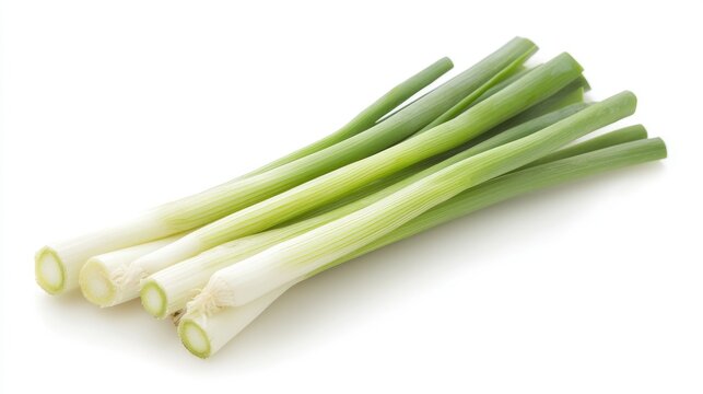 A fresh stalk of Japanese winter leek negi, isolated on white, emphasizing its mild, sweet flavor in Japanese winter cuisine
