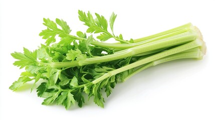 A whole celery stalk with crisp, green stems, isolated on white for a fresh, clean winter vegetable look