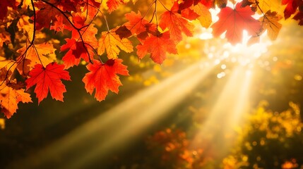 Vibrant Autumnal Landscape with Warm Sunbeams Filtering Through Lush Foliage