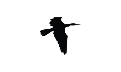 Flying African darter bird Silhouette Design  And Vector Illustration. 