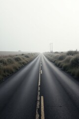 Fototapeta premium A long, straight asphalt road disappears into a misty horizon, flanked by wild grasses under a pale sky