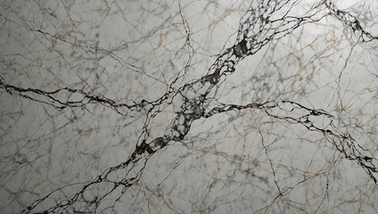 White Marble Texture with Fine Silver Veins and Soft Illumination