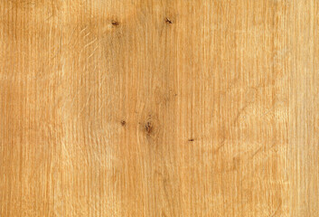 Obraz premium Oak wood texture, can be used as background, wood oak grain texture