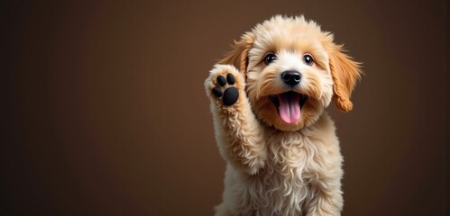 Adorable puppy waving its paw, exuding joy and playfulness. Perfect for pet care, advertising, or social media content related to animals.