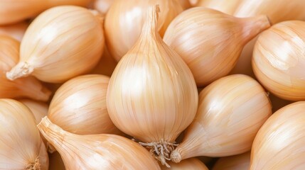 Freshly harvested pearl onions, close-up view, food background, recipe ingredient