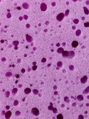 A purple sponge with purple spots on it