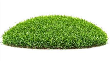 Lush green grass landscape outdoors nature scene vibrant environment close-up view freshness concept