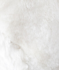 The image is a close up of a white fur texture