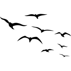 Birds Flying Silhouette