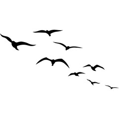 Birds Flying Silhouette