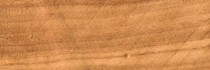 Walnut wood texture, can be used as background, wood grain texture