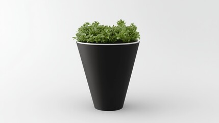 Fototapeta premium Minimalist black cone matt white planter with plants in it, on a white background, no shadow - greens inside
