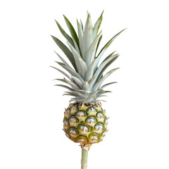 Fototapeta premium Pineapple fruit plant food isolated on transparent background