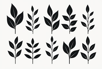 black and white silhouettes of leaves