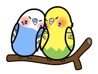 仲良しな小鳥たち