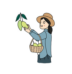 Happy farmer harvesting mango, hand drawn style vector illustration