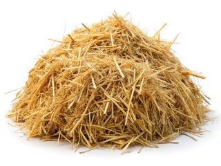 Isolated dry straw pile, viewed from above. Crisp, high-resolution image on white.