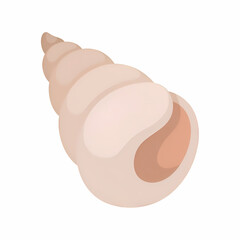 Seashell