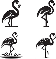 Elegant Flamingo Silhouettes Collection