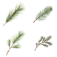 Watercolor pine branches in natural environment artistic background nature scene organic viewpoint rustic concept