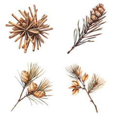 Fototapeta premium Watercolor pine cones and needles natural setting art rustic vibe nature inspired decorative background