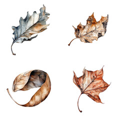 Watercolor leaves artwork nature studio fine art collection minimalist design vibrant colors botanical aesthetics
