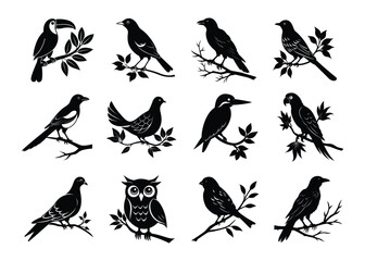 Birds sitting on tree branch silhouette vector art illustration on white background