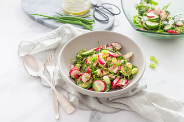 Fresh cucumber salad with radish, dressing and herbs