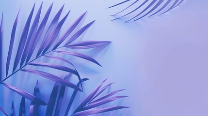 Fototapeta premium The Blue-purple Background of Palm Sunday: Interpretation of Culture and Spirit behind the Color in the Religious Holy Realm