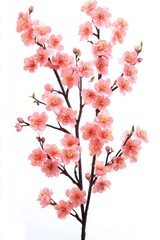 Delicate pink cherry blossom stems create a vibrant and uplifting atmosphere.