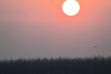 sunrise in the mountains