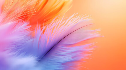 Warm and Soft Feather Close-up in Orange and Purple Hues