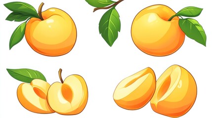 Obraz premium Ripe apricots, whole and halved, leaves, white background, healthy food illustration