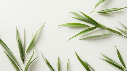 Obraz premium The Plant Background of Palm Sunday: An Exploration of the Culture and Symbols of Natural Imprints in the Religious Festival