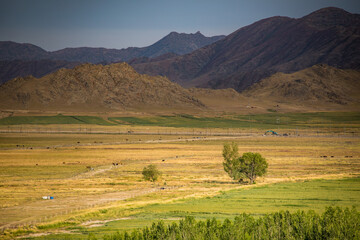 Fototapeta premium Kekesuli Scenic Area, Altay Region, Xinjiang, China