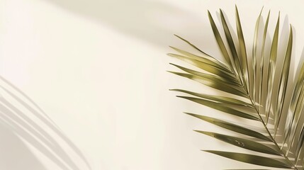 Fototapeta premium The Religious Background of Palm Sunday: Tracing the Faith and Interpreting the Culture of the Divine Festival