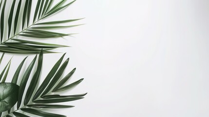 Fototapeta premium The Religious Background of Palm Sunday: Tracing the Faith and Interpreting the Culture of the Divine Festival