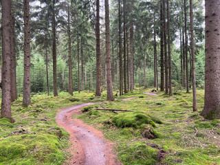 MTB track at Gasselte - Gieten in Drenthe