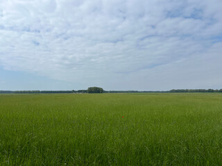 Scenery around the MTB track Sleen
