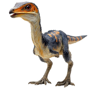 Angled view full-body shot of an extremely perfect-looking single Troodon isolated on a white transparent background