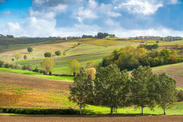 Autumn in Chianti region, trees and rolling hills. Castellina in Chianti, Tuscany, Italy
