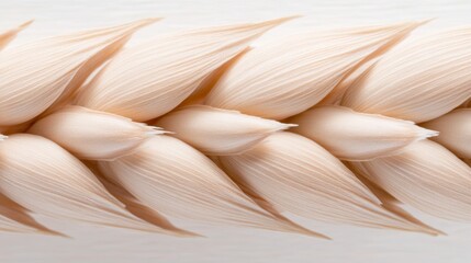 close-up of a single wheat stalk, intricate details of the grains, macro photography of cereal crops