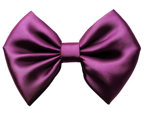 A plum-colored ribbon bow with a deep, rich tone and symmetrical folds on the solid white background.