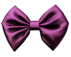 A plum-colored ribbon bow with a deep, rich tone and symmetrical folds on the solid white background.