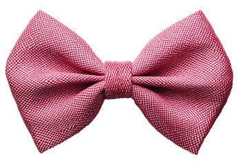 A raspberry pink ribbon bow with vibrant color and detailed texture on the solid white background.