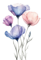 watercolor decoration elements isolated flowers, mothers day