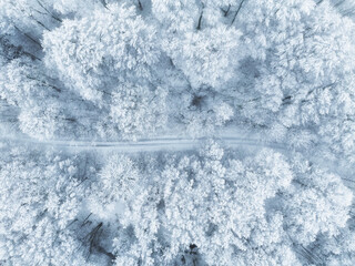 Aerial drone view of a snowy forest in winter, showcasing the frosty beauty of nature.
