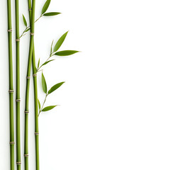 Naklejka premium flowers and leaves in pictures illustrator2D
