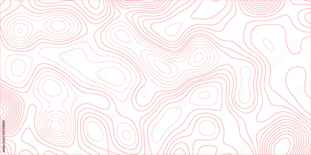 Poster Abstract white colorful gradient Topographic line map background. Contour elevation topographic and textured Background Modern design with White background with topographic wavy pate for decoration.	