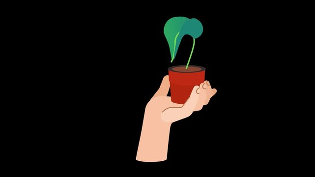  hand holding a cutting, ready to be planted